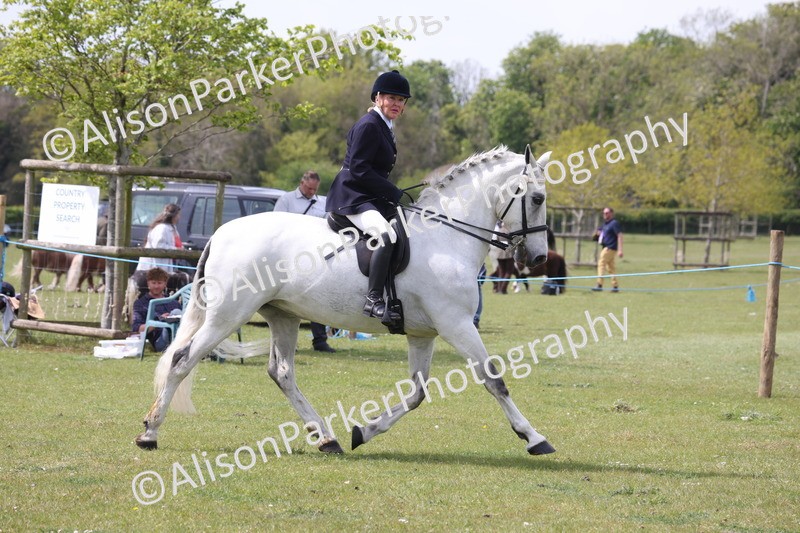 20260426-4303 - Class 34 - Best Riding Horse Over 14.2hh