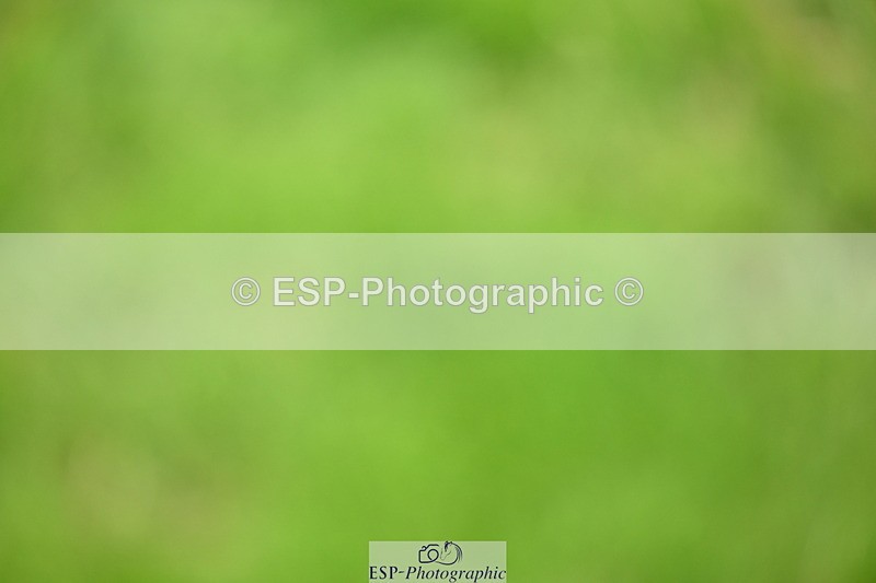 250705A-125813-14785 - Cls 30 Snr Foxhunter 2nd R Jump Offs and Presentations