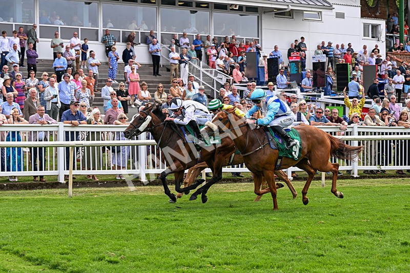 010726-Race 5-Saucy Jane-8491 - Race 5 15.10pm David Lever Memorial Handicap