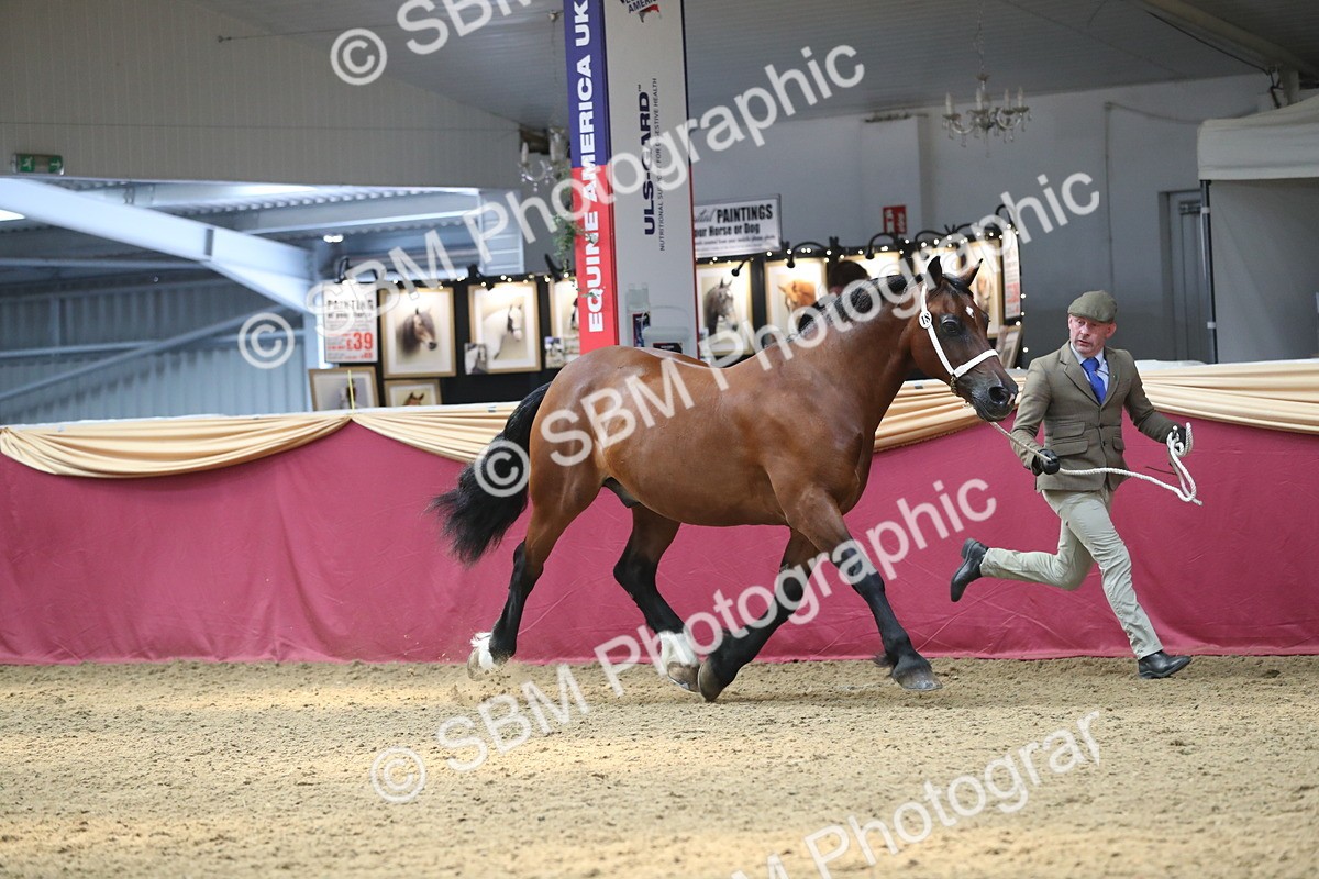 SBM_15199 - Class 501 M&M IH Supreme Final