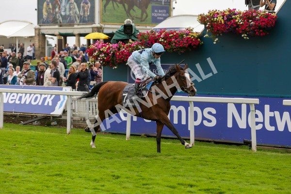 220824-Race 5-Scenic-7826 - Race 5 4.10pm British EBF & Sir Henry Cecil Galtres Stakes