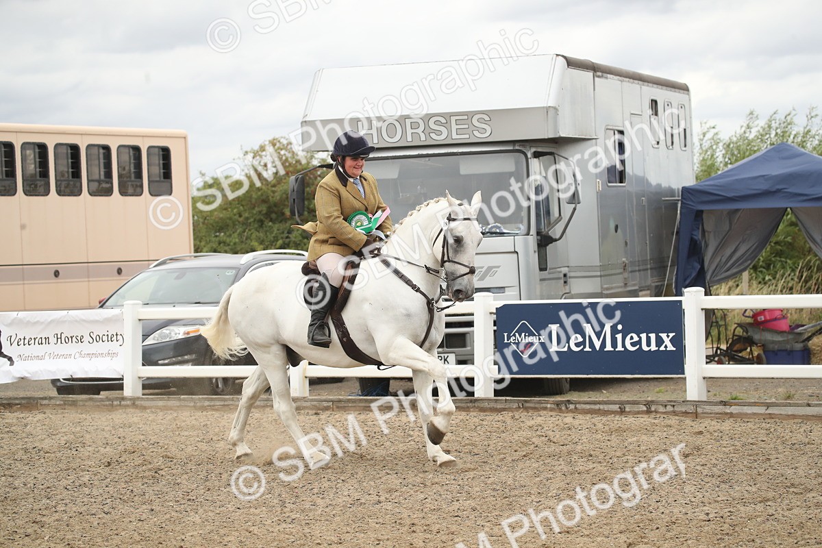 SBM_18350 - Class 509a - Working Veteran - 80cm (15-19)