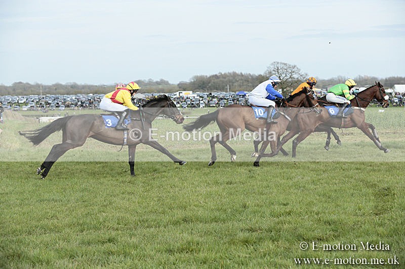 PtP 230319 304 - VWH Hunt Siddington Point-to-Point Racing 23/03/19