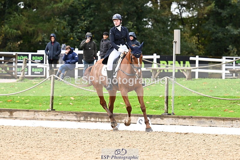 251023A-124313-02310 - B-154-Holly.Law