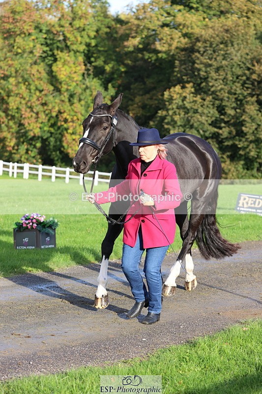 251026A-095342-22562 - D-315-Georgina.Marks