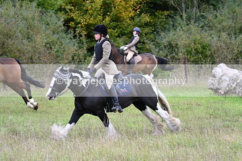 WJ7_3968 - Camera 1 Line 1