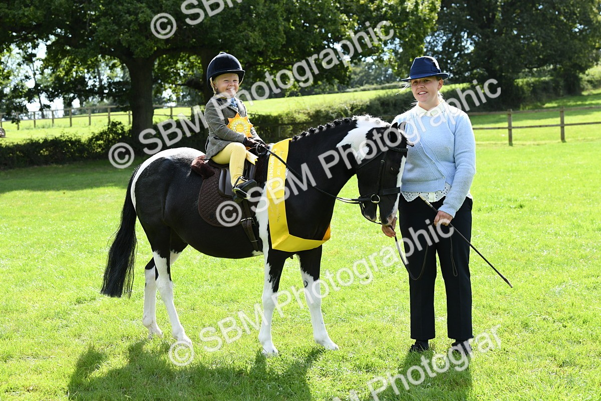 SBM_41266 - S19 - Lead Rein Show & Show Hunter Pony