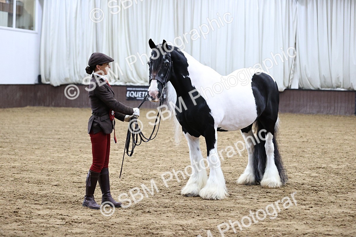 SBM_5687 - Class 40 - RESS In Hand Qualifier