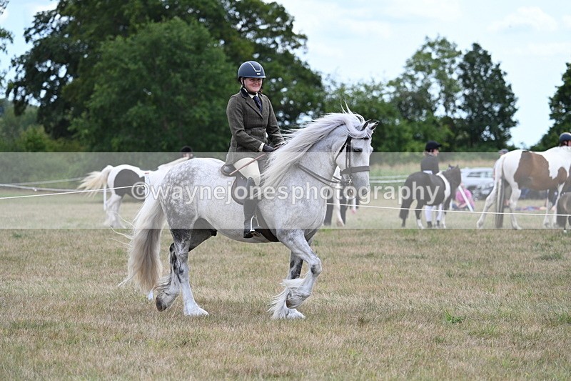 WJ7_4677 - Class 12 Ridden Cob