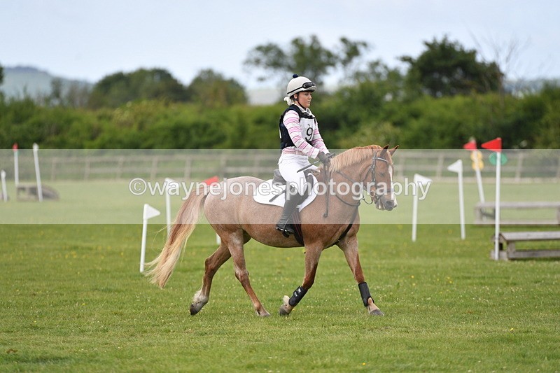 WJ5_2475 - Class 2 40cm