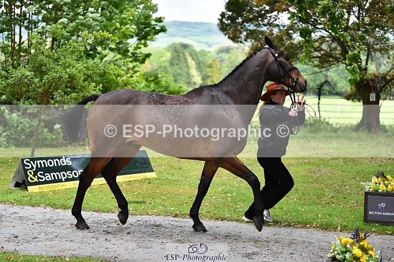 240522-155210-00543 - 164-MOONLIT_SWAYZE-Daisy_Bathe