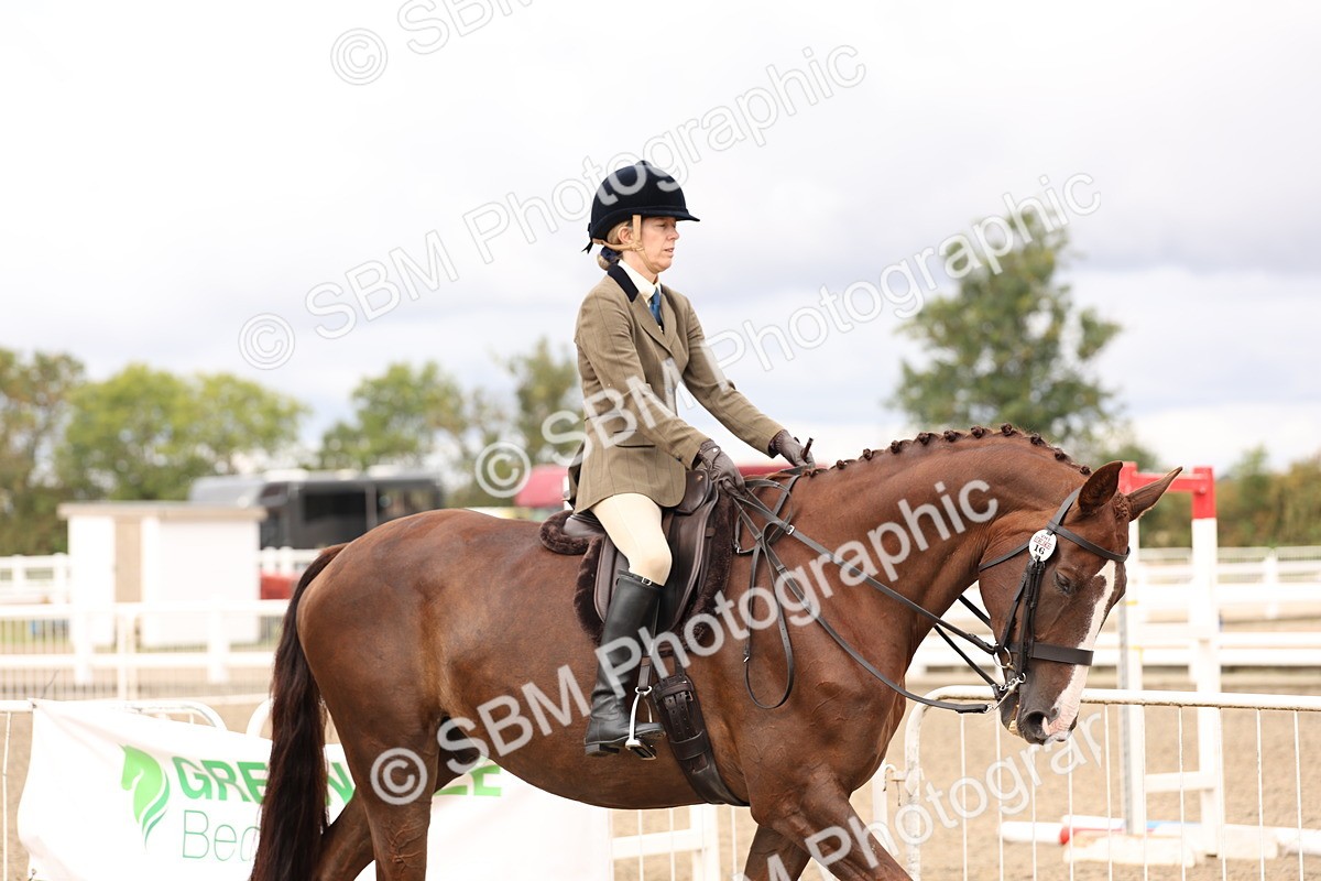 SBM_02780 - Class 53 - Ridden Competition Horse/Pony