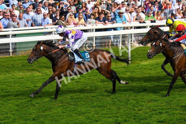 270523-Race 6-Quantum Impact-0897 - Race 6 4.25pm Royal Yorkshire Regiment Handicap