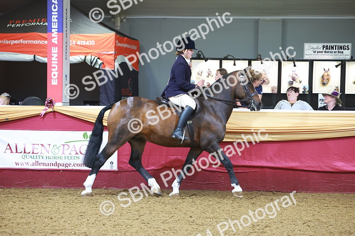 SBM_14659 - Class B - Junior Champ 11 to 16 Years