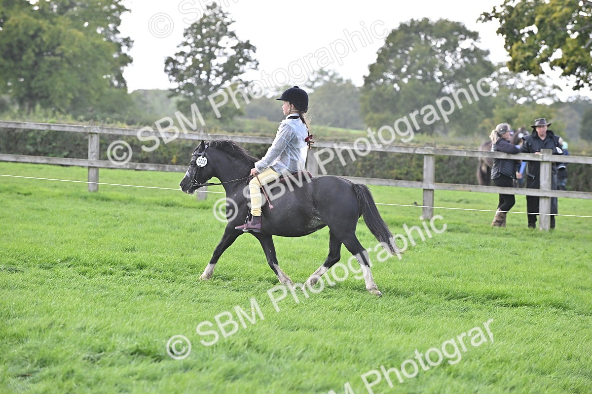 SBM_48346 - S21 - Novice & Newcomers First Ridden