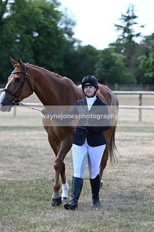 WJ7_2315 - Class 5a Most Handsome Gelding in hand (above 14.2hh)