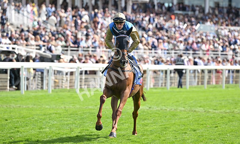 220826-000 Archivist - Race 1 13.50pm Sky Bet Strensall Stakes