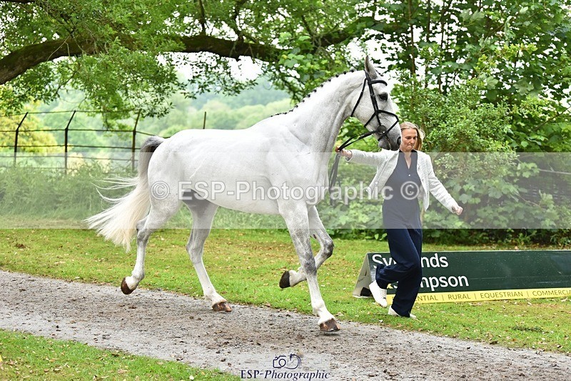 240522-172528-01601 - 286-ZIROCCO_VAN_DE_EIJKHOF_Z-Megan_Sanders