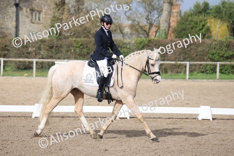 20260301-0652 - Class 4 - Novice 5