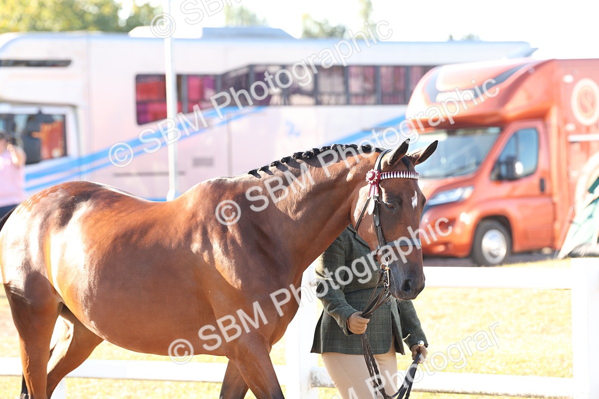 SBM_10763 - Class 201 - Best Turned Out - IH