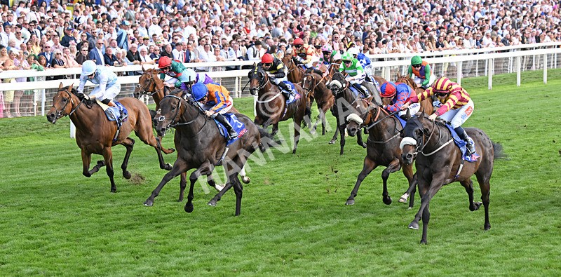 220826-200 Sondad - Race 5 16.10pm Sky Bet Constantine Handicap