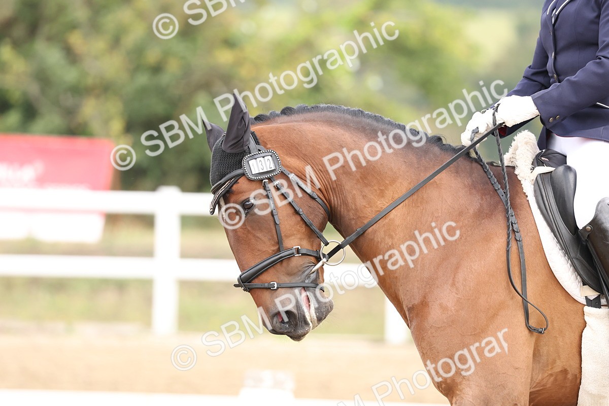 SBM_005781 - Class 6 - Novice 6 - 10.26-11.29