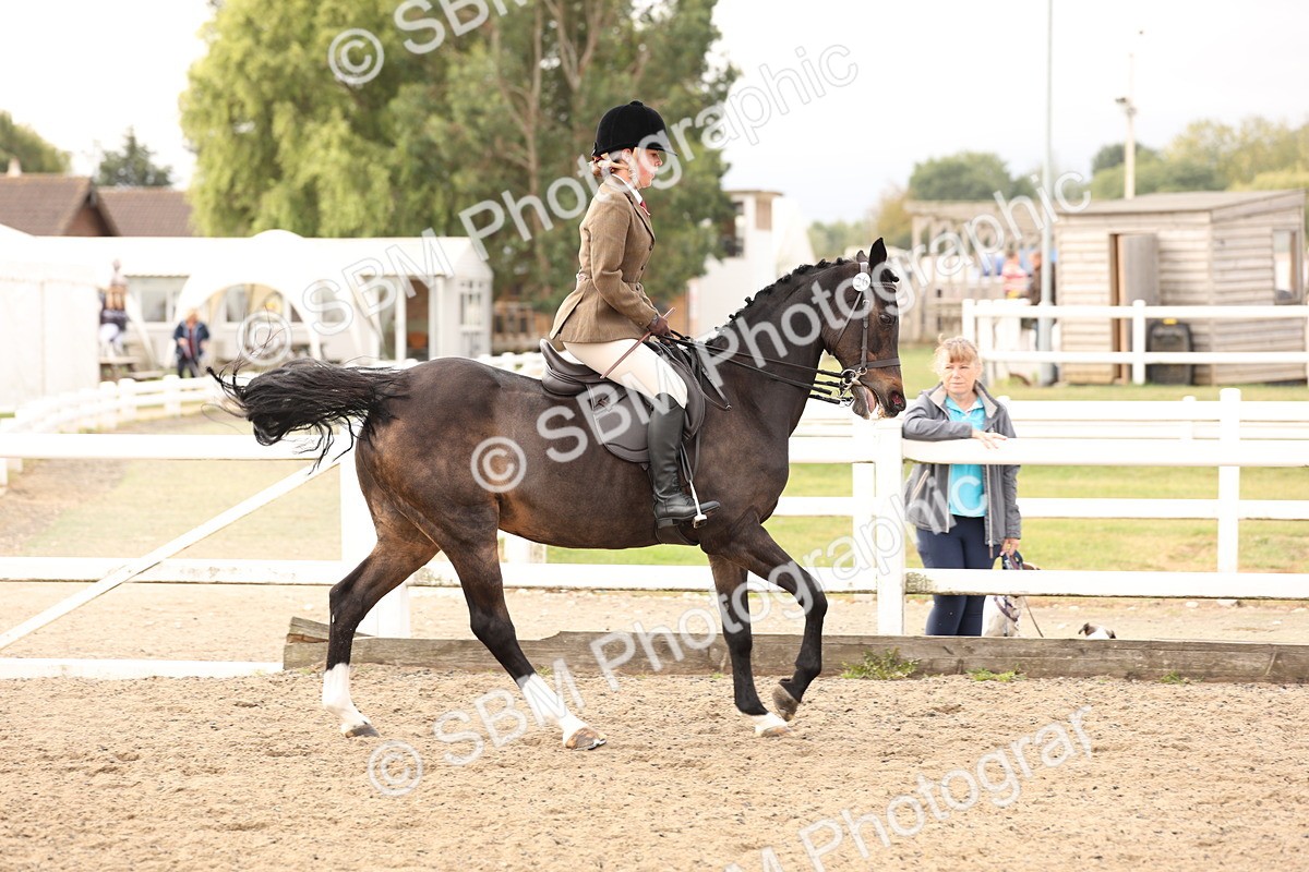 SBM_01538 - Class 52 - Ridden Veteran
