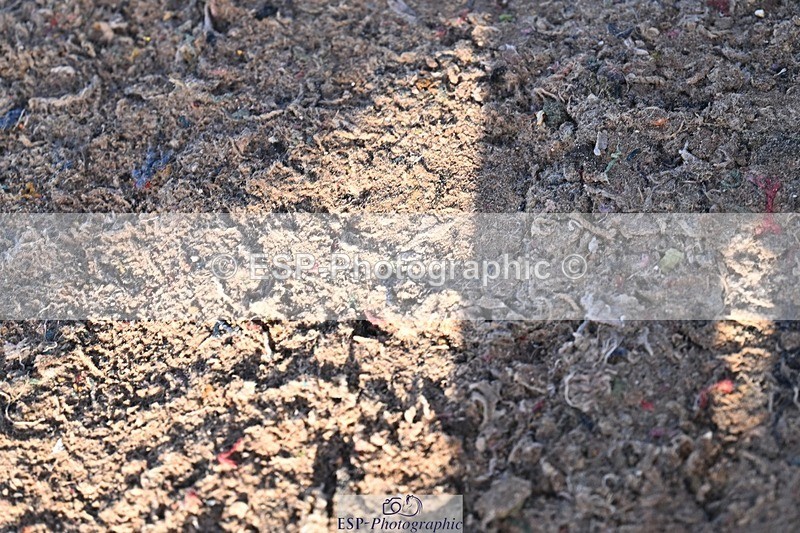 251203-125123-00545 - Cls 4 Newcomers and 1.10m Open