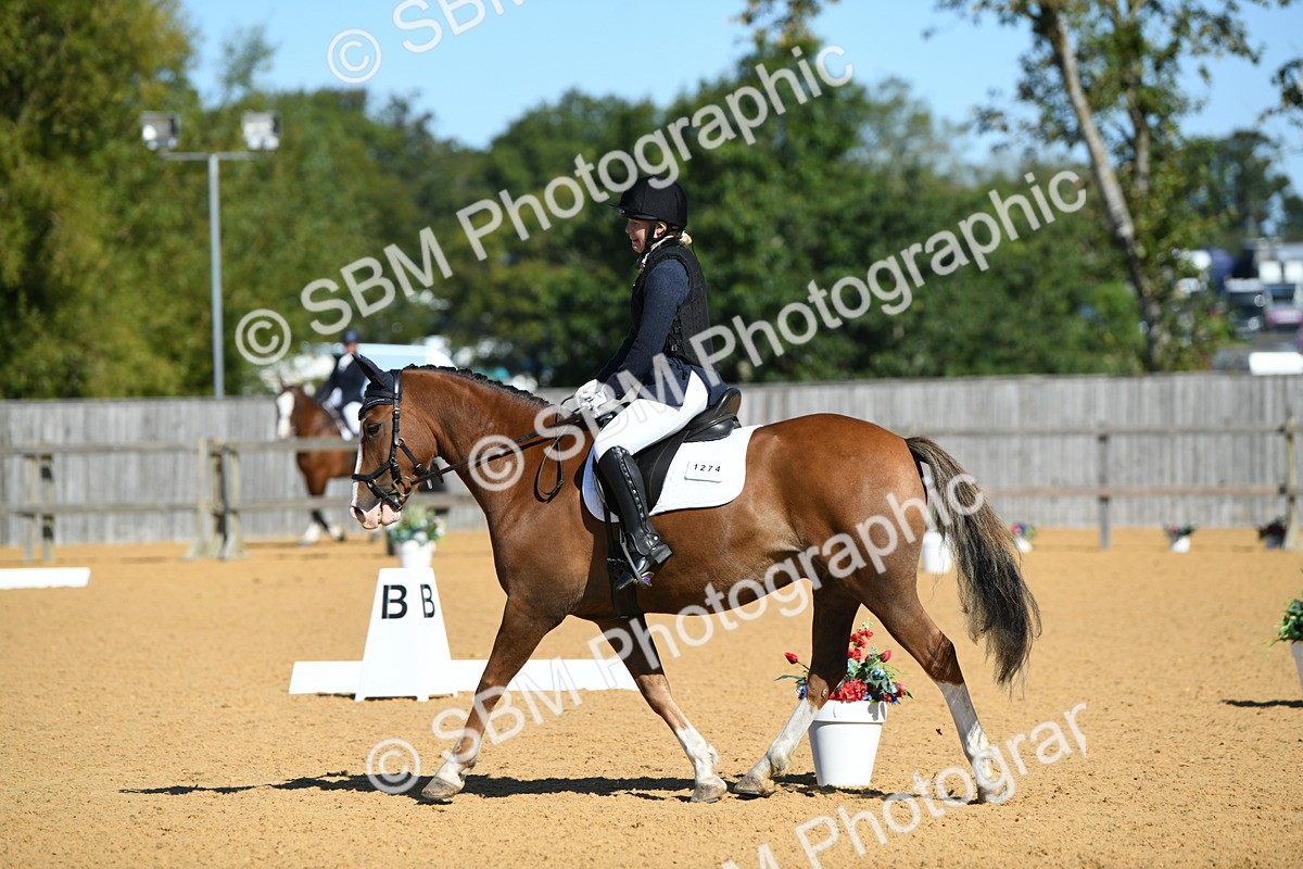 SBM_18133 - D4 - Small Tour Championship - Intro B