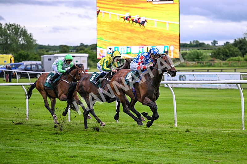 110626-Race 5-Sixpack-5209 - Race 5 20.23pm Try Racing TV For Free Now Handicap