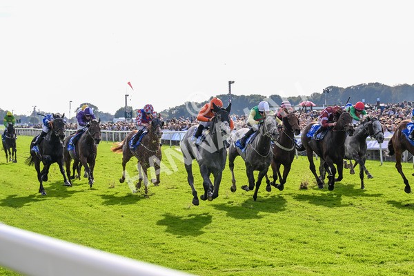 111025-Race 2-Grey Cuban-0264 - Race 2 Coral 'Pipped At The Post' Handicap at York