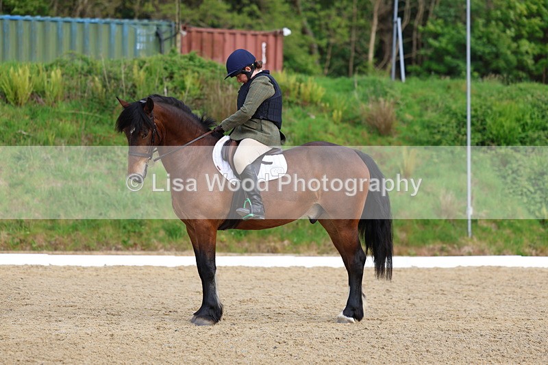 3E7A3448 - Class 2: INTRO B- INTRO 3 2024