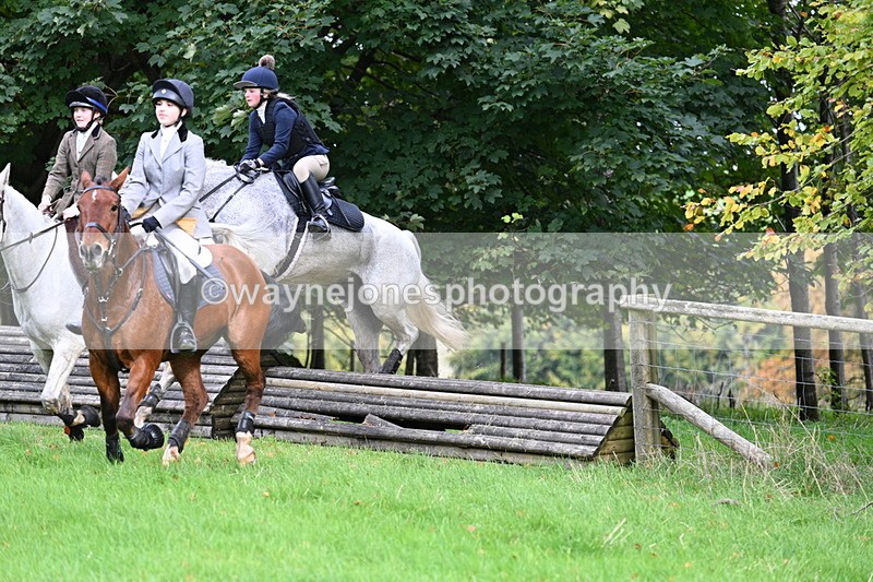 WJ7_4572 - Camera 1 Line 3