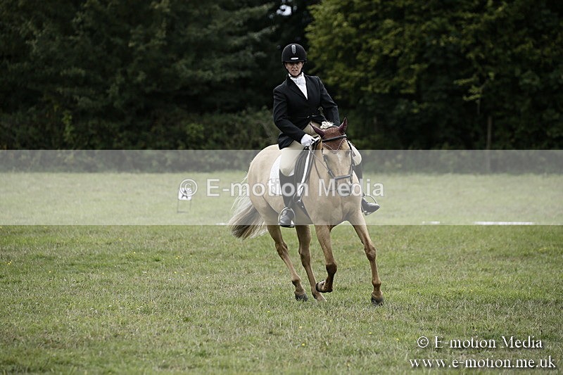 BVR080918 307 - BVRC Novice Dressage & CR 08/09/18