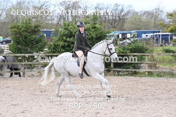 BPP_7502 - RING 1  (RIDDEN HORSES / IN HAND / VETERAN ETC)