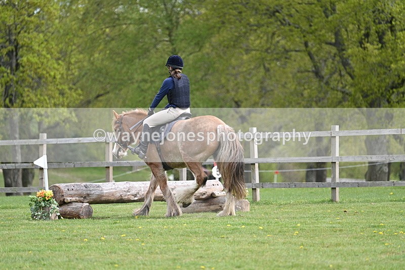 WJ7_6382 - 60cm Time 11:12 to 11:36