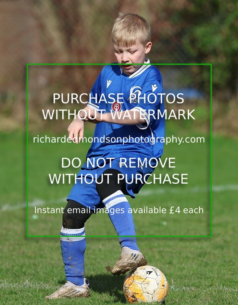 533A8214 - Ibis Under 8's (14/3/26)