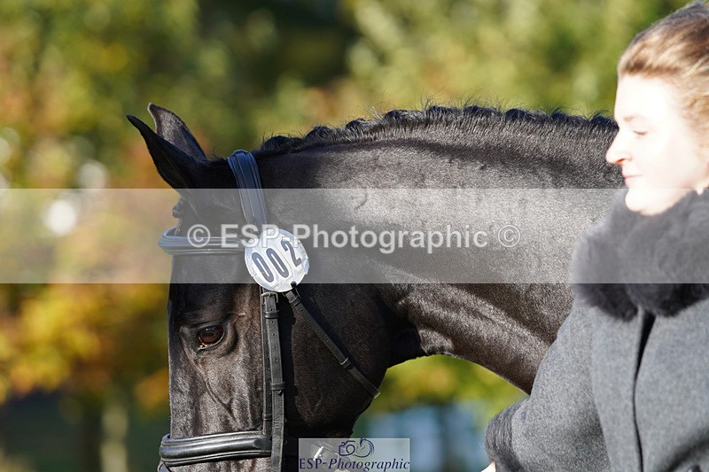 241026-100938-11658 - 002-Ellie.Fredericks-BRITANNIA'S.OLIVE