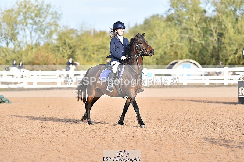 231028A-100938-00317 - Cls 1 Pony 70cm