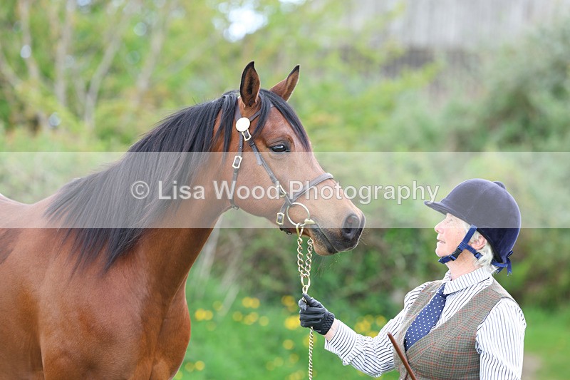 3E7A0869 - In Hand Championship