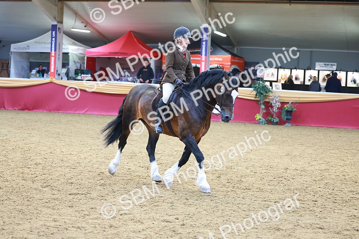 SBM_06073 - Class 12R - Ridden Pre-Vet