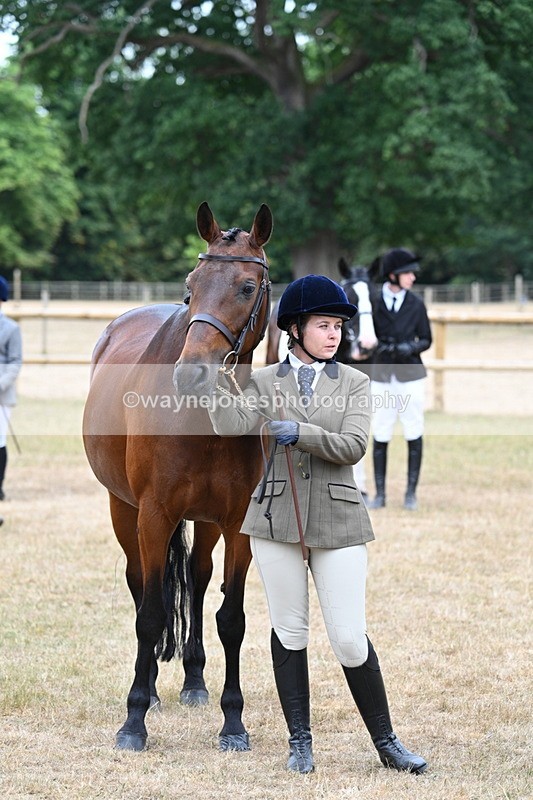 WJ7_9233 - Class 4a Prettiest Mare 14.2hh and over