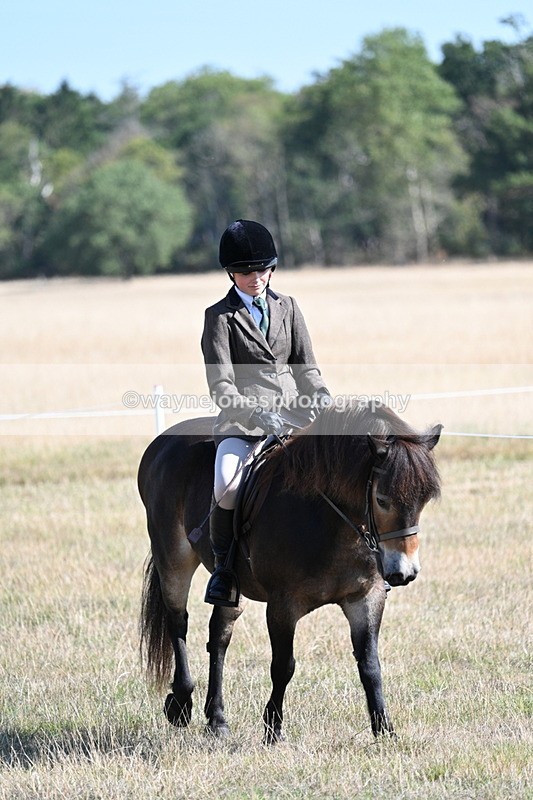 WJ7_3090 - Class 8 Ridden Tack & Turnout