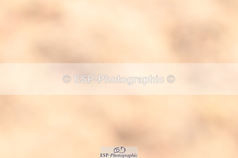 250621-091403-06994 - Cls 23 - Prelim 5 Start to 9.40