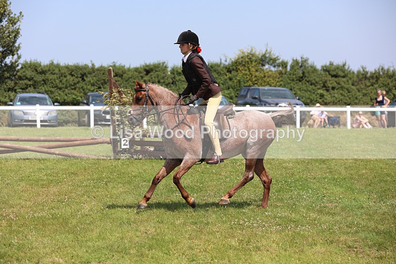 JPP_2445 - Class 21: Working Hunter 60cm