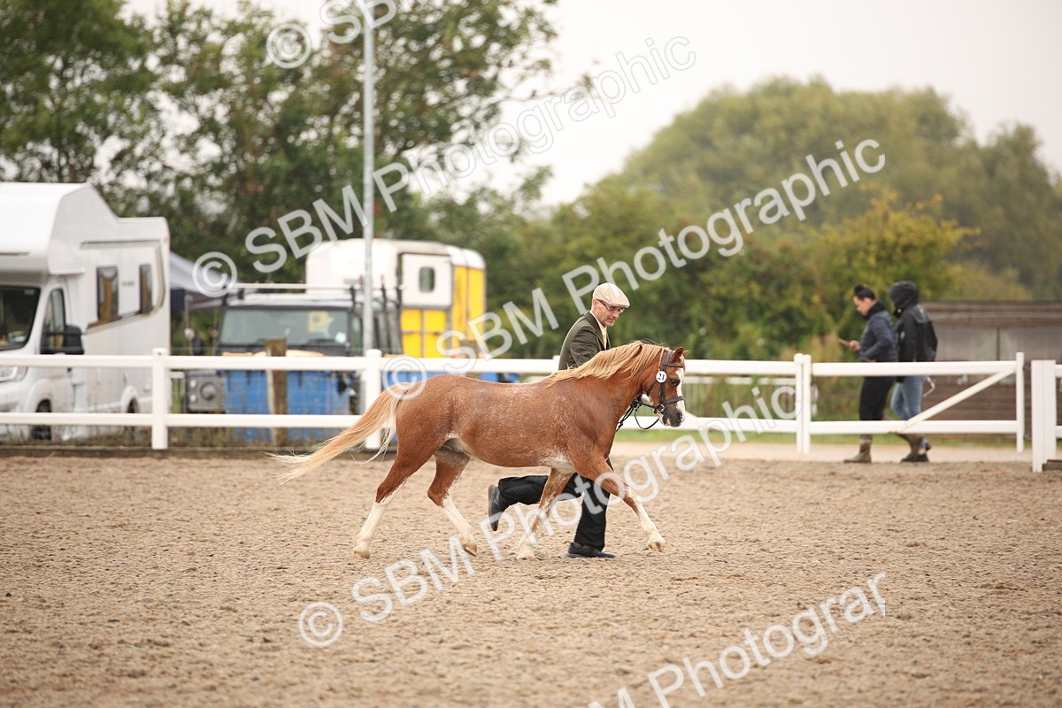 SBM_20715 - Class 705 - IH  Combination 65+