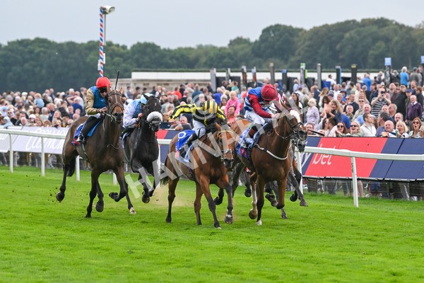 220825-Race 1-Asgards Captain-6622 - Race 1 1.50pm Sky Bet Handicap