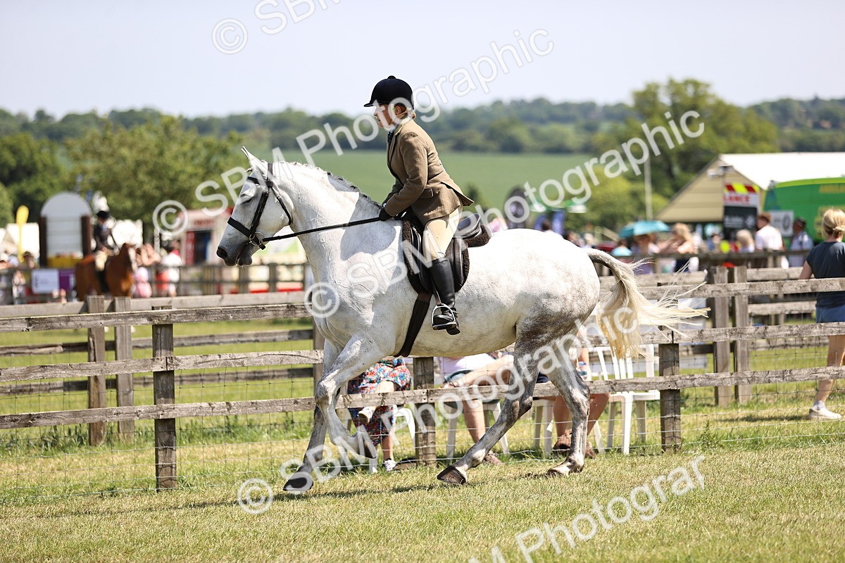 SBM_15078 - Class 79-80 - LIHS BSHA Rising Star Ridden Hunter