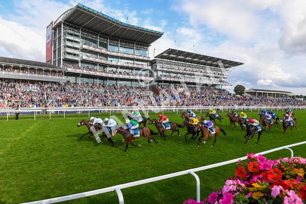 240823-Race 6-Gushing Gold-0707 - Race 6 4.45pm Or8Wellness EBF Stallions Nursery Handicap