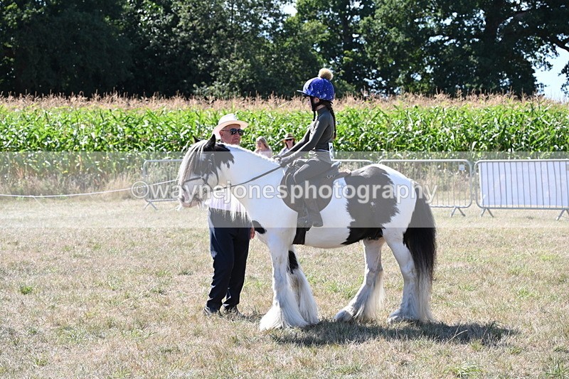 WJ6_8926 - Class 38 Ridden Riding Horse/Pony
